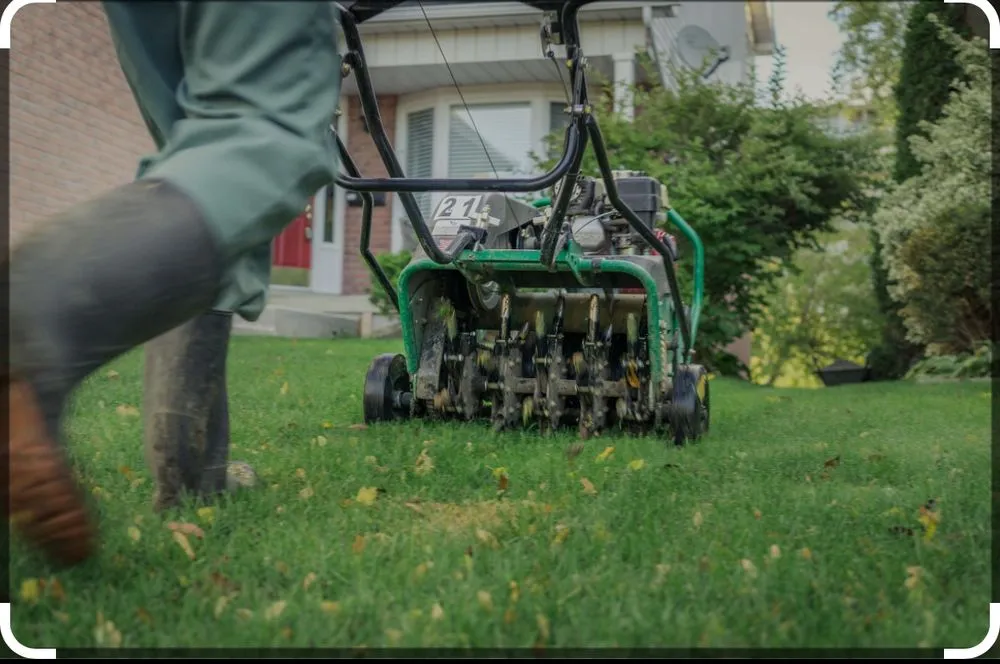 Local outdoor landscaping for beautiful yards in Greenville, SC by Turf 212