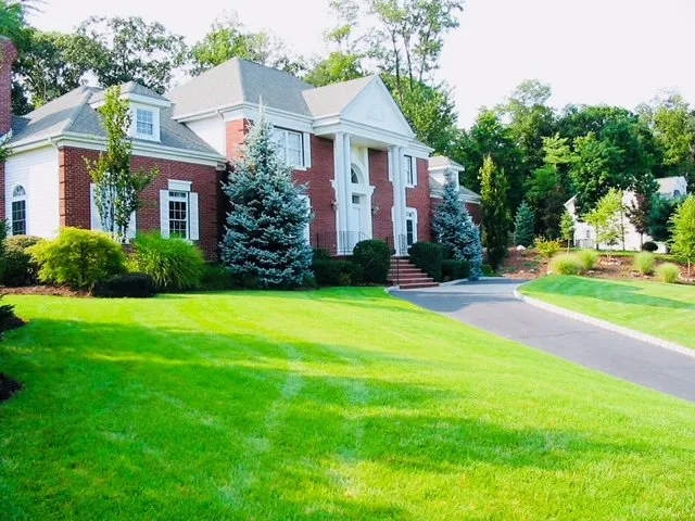 Trusted yard cleanup service in Pasadena, MD by Turf and Landscape Management