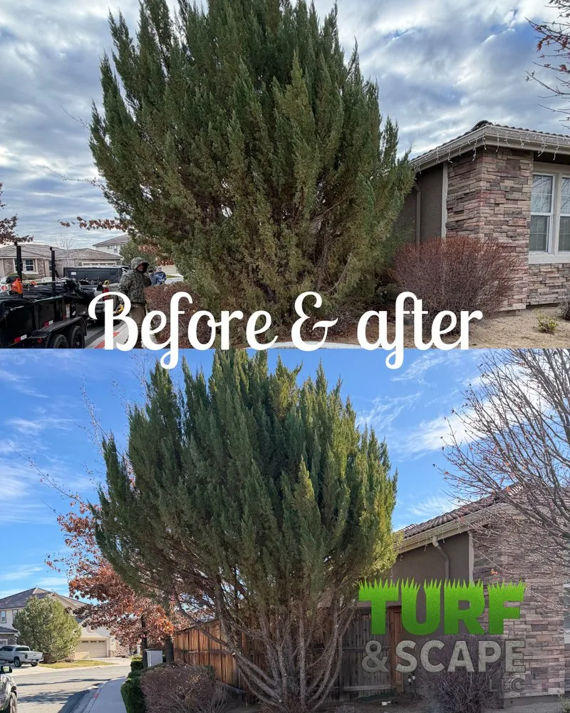 Expert landscape design in Reno, NV by Turf and Scape