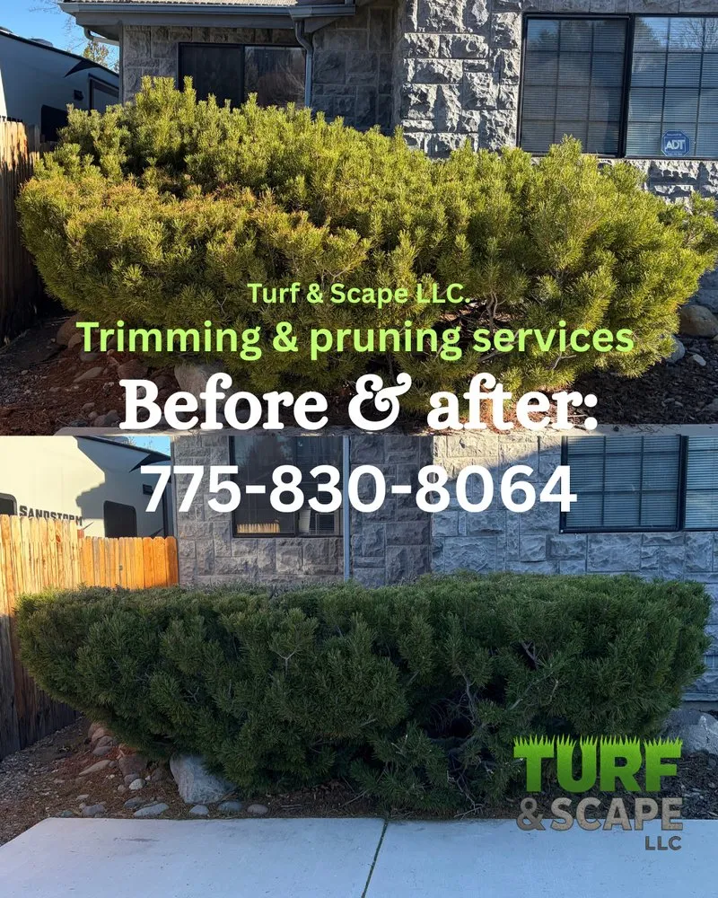 Trusted landscaping services in Reno, NV by Turf and Scape