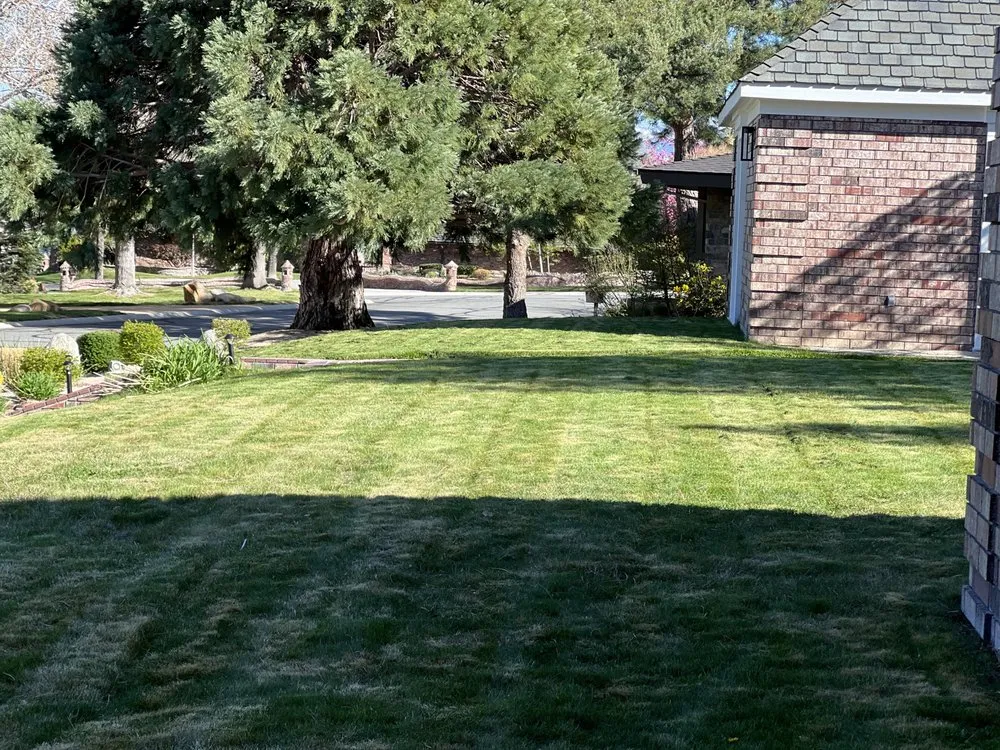 Affordable lawn care service in Reno, NV by Turf and Scape
