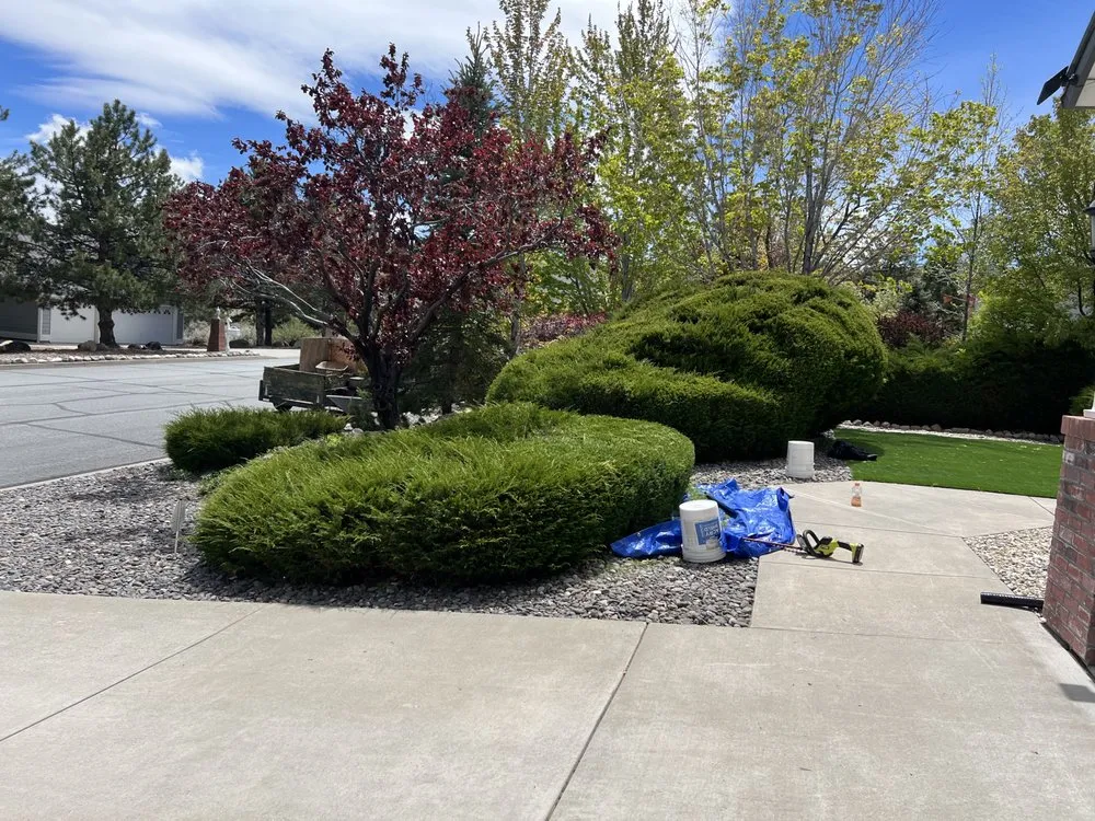 Top-rated outdoor landscaping in Reno, NV - Turf and Scape