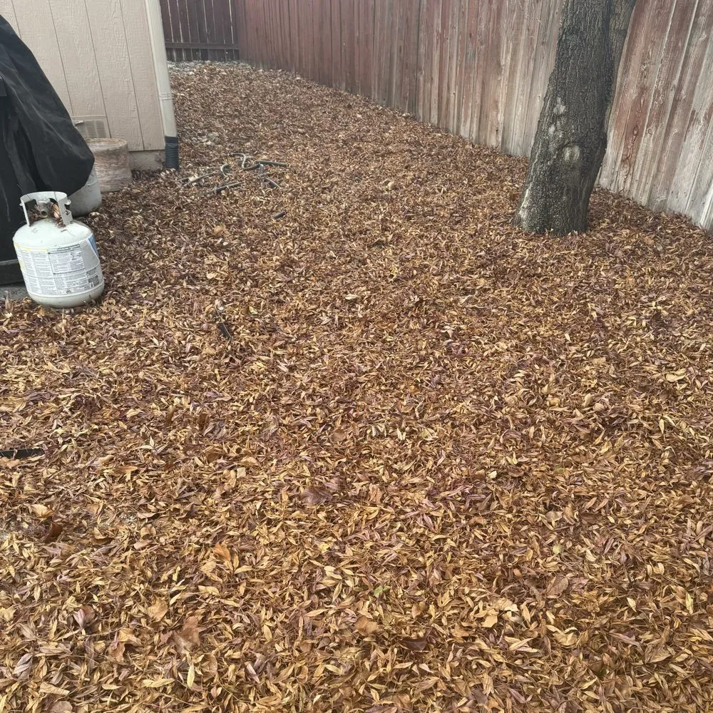 Custom residential landscaping in Reno, NV by Turf and Scape