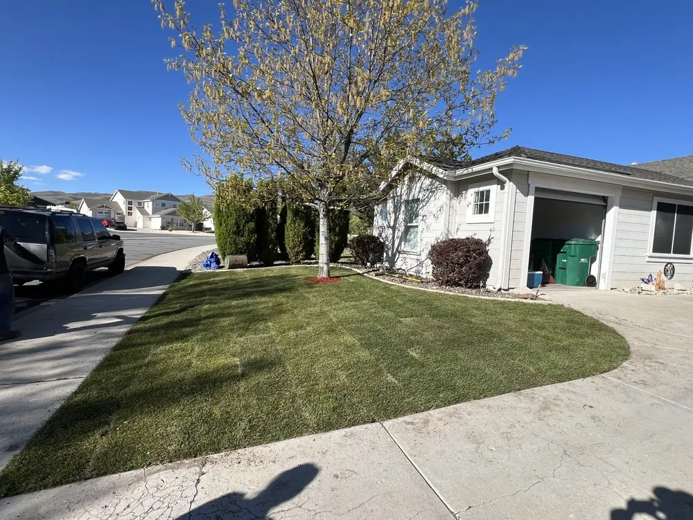 Affordable lawn care service in Reno, NV - Turf and Scape