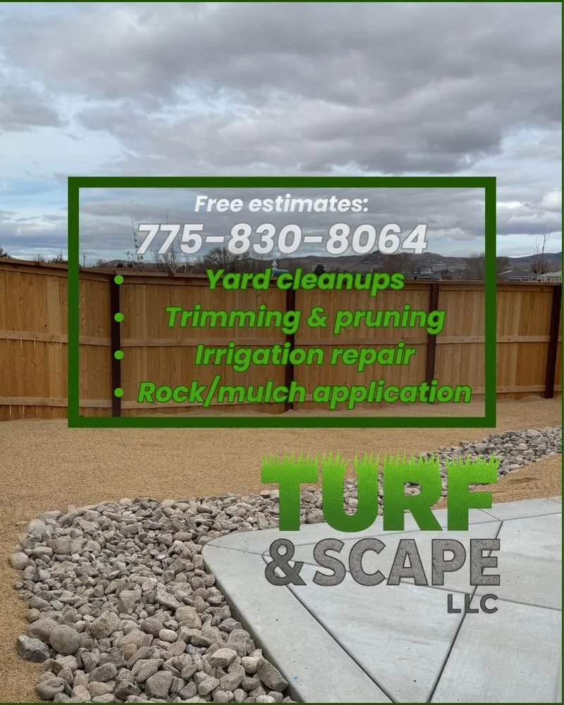 Professional yard maintenance in Reno, NV by Turf and Scape