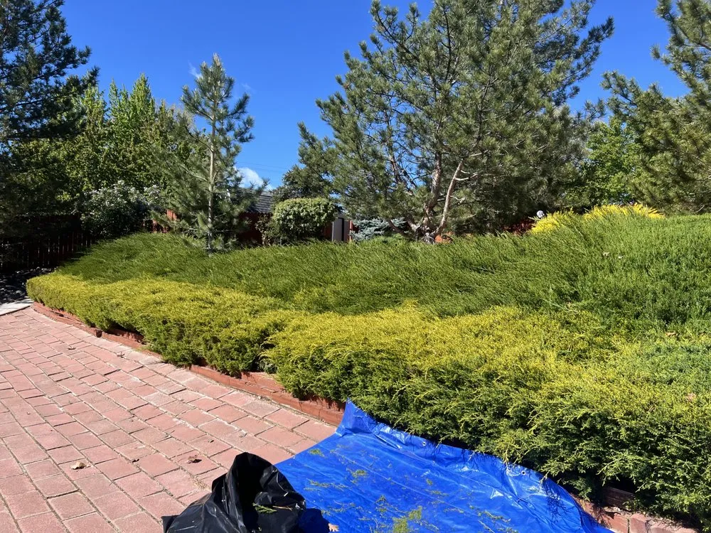 Expert lawn mowing service in Reno, NV by Turf and Scape