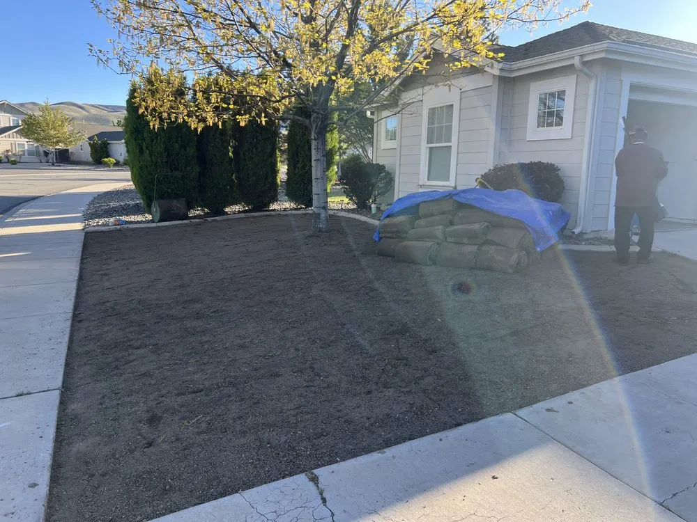 Top-rated yard cleanup service experts serving Reno, NV - Turf and Scape