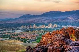 Top-rated yard cleanup service for homes in Sparks, NV by Turf and Sod