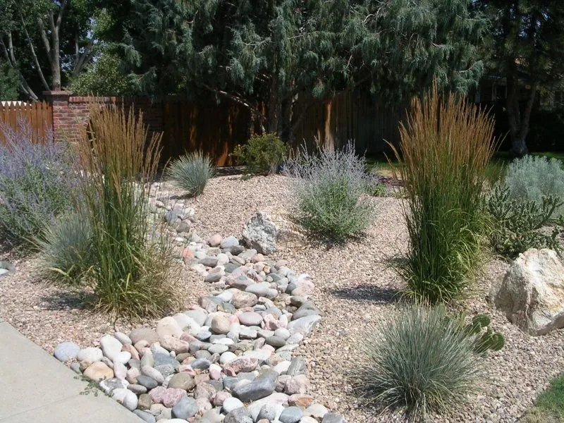 Professional outdoor landscaping with custom design in Sparks, NV by Turf and Sod