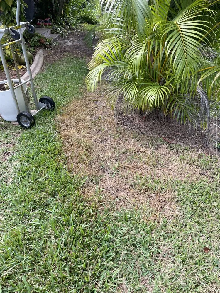 Local lawn mowing service experts serving Cape Coral, FL - Turf and Surf