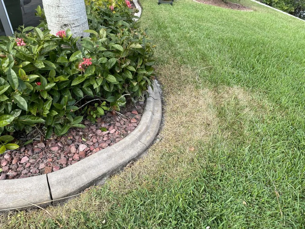 Local residential landscaping in Cape Coral, FL - Turf and Surf