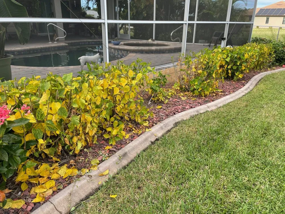 Local lawn care service experts serving Cape Coral, FL - Turf and Surf