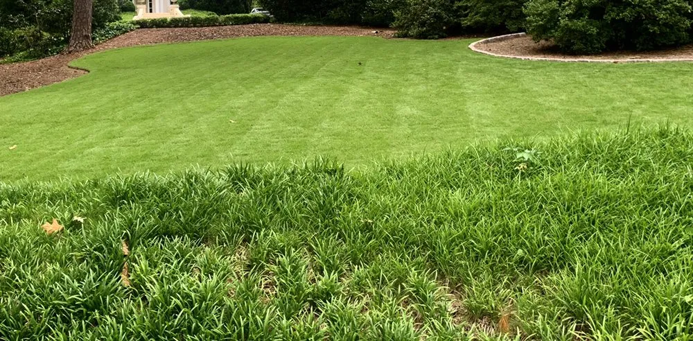 Reliable outdoor landscaping experts serving Knightdale, NC - Turf Barbers