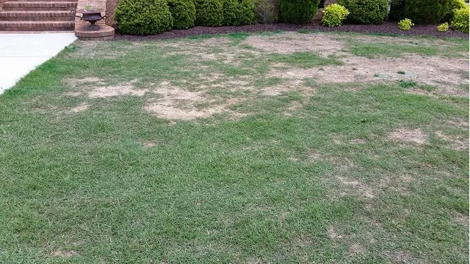 Trusted landscaping services experts serving Arab, AL - Turf Boss