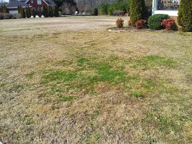 Top-rated outdoor landscaping with custom design across Arab, AL - Turf Boss