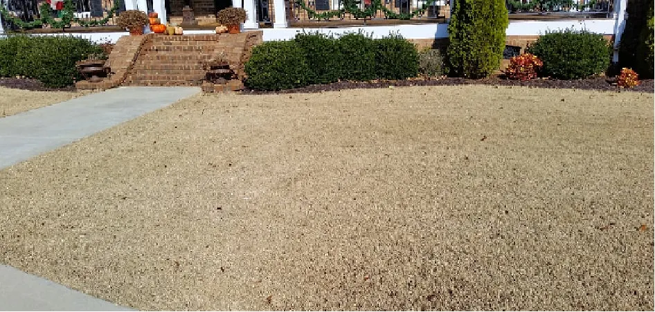 Custom lawn mowing service experts serving Arab, AL - Turf Boss