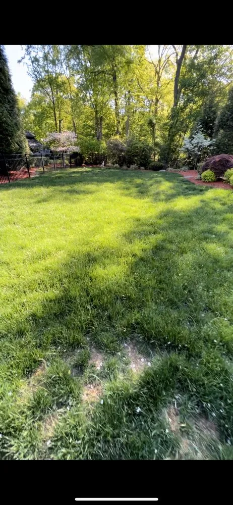 Affordable lawn mowing service in South Amboy, NJ - Turf Boss llc