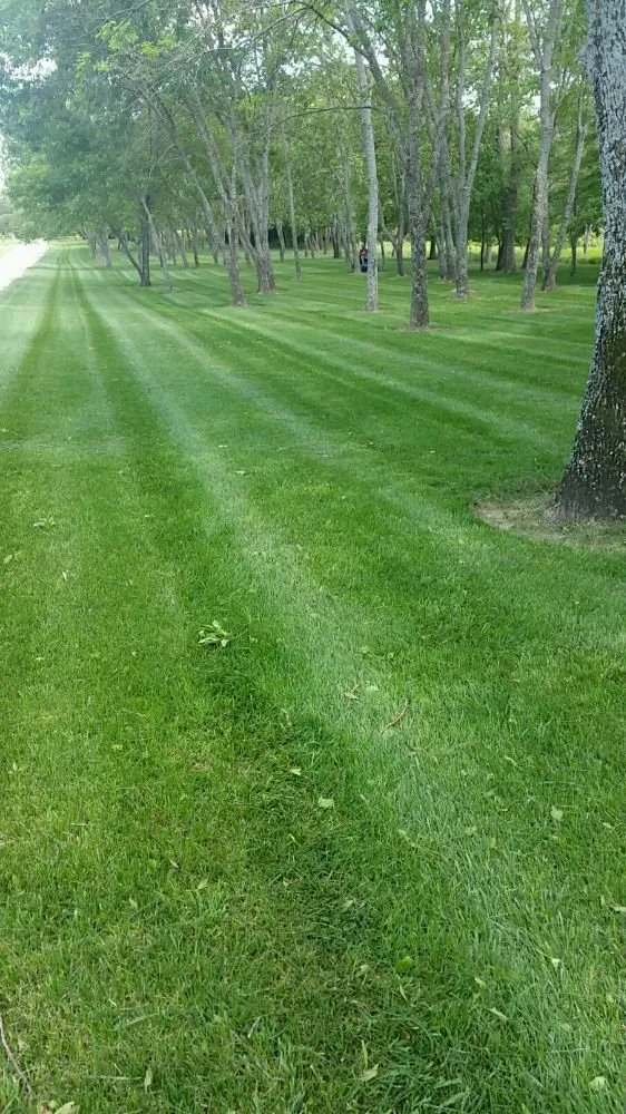 Reliable residential landscaping in Altamont, KS - Turf Bros. Lawn and Landscape