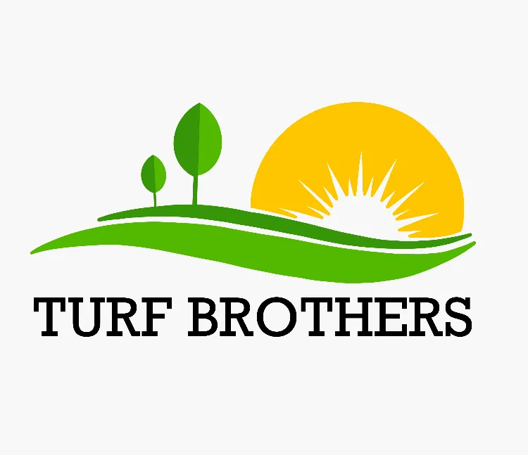 Reliable yard cleanup service in Clemmons, NC by Turf Brothers