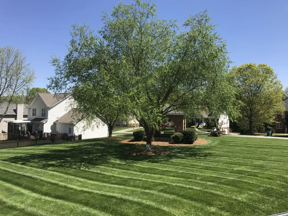 Expert landscape installation in Clemmons, NC by Turf Brothers