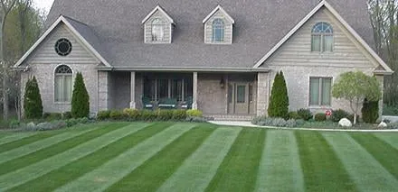 Professional landscape design experts serving Beechgrove, TN - Turf Busters