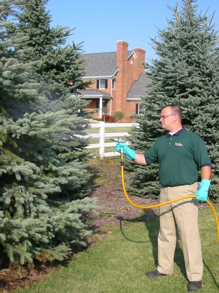 Top-rated yard cleanup service experts serving Barrington, IL - Turf Care Enterprises Inc
