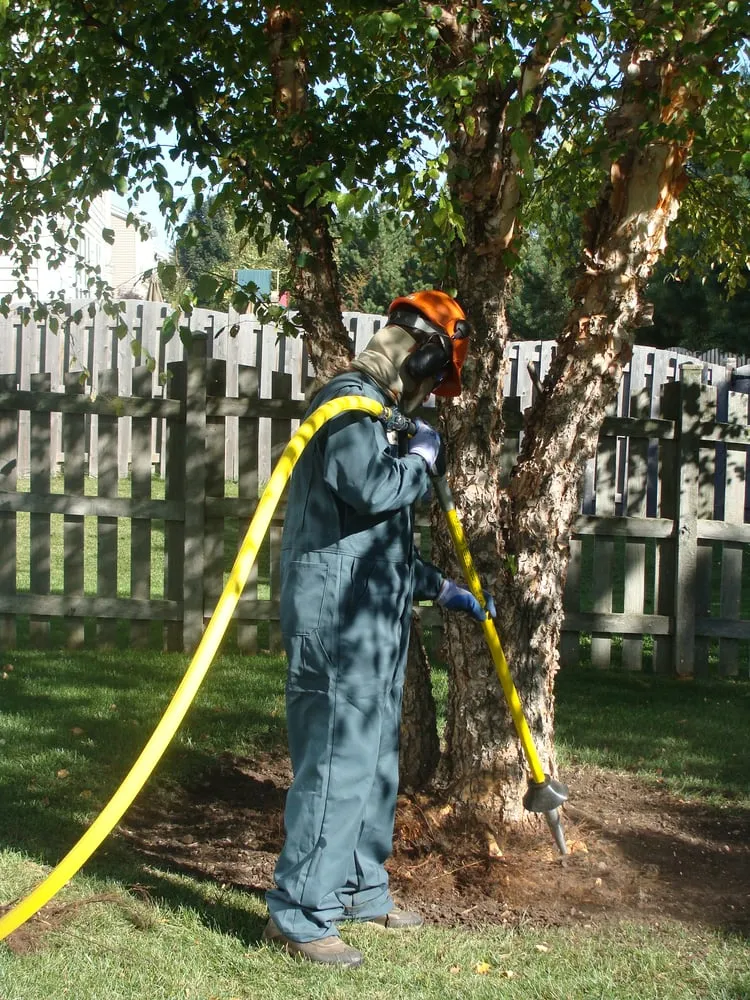 Affordable landscaping services in Barrington, IL by Turf Care Enterprises Inc