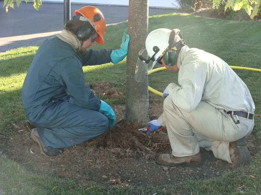 Top-rated landscaping services near you across Barrington, IL - Turf Care Enterprises Inc