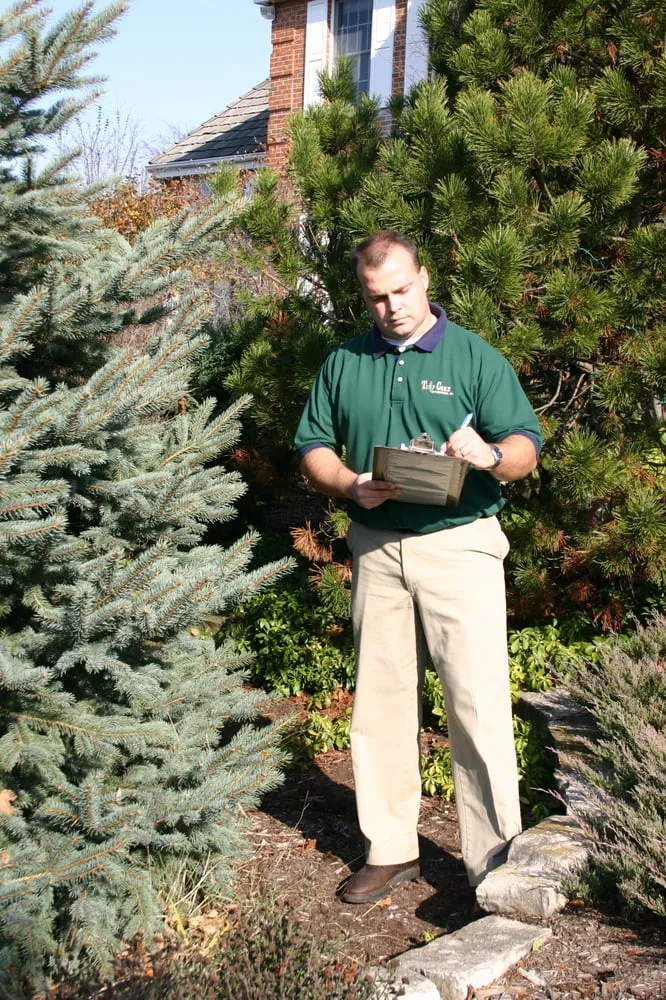 Professional yard maintenance in Barrington, IL - Turf Care Enterprises Inc