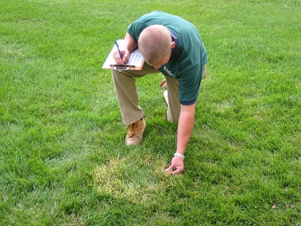 Top-rated garden landscaping experts serving Barrington, IL - Turf Care Enterprises Inc