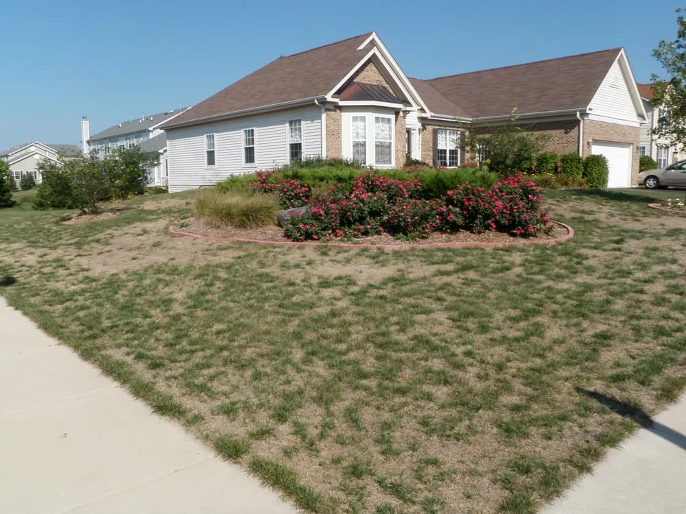 Professional landscape design in Barrington, IL by Turf Care Enterprises Inc