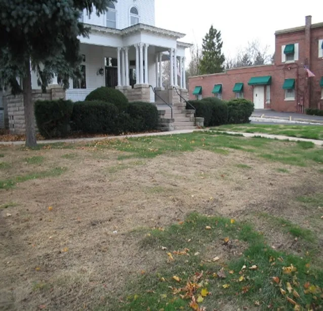 Top-rated yard maintenance experts serving Barrington, IL - Turf Care Enterprises Inc