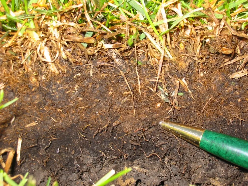 Professional garden landscaping experts serving Barrington, IL - Turf Care Enterprises Inc