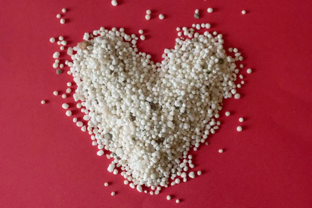 Custom yard maintenance for outdoor upgrades across Lake Barrington, IL - Turf Care Enterprises