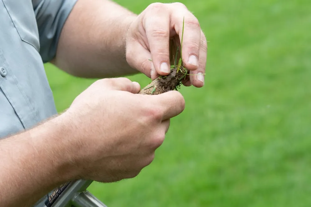 Local yard maintenance for residential properties in Lake Barrington, IL by Turf Care Enterprises