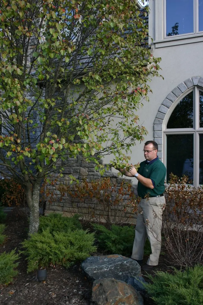 Custom landscape installation near you across Lake Barrington, IL - Turf Care Enterprises