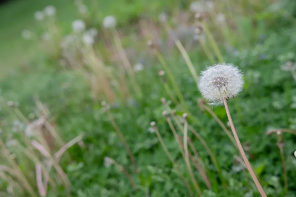 Expert outdoor landscaping with custom design in Lake Barrington, IL by Turf Care Enterprises
