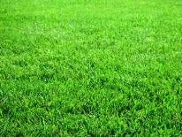 Custom landscape design in Mustang, OK - Turf Care Pro