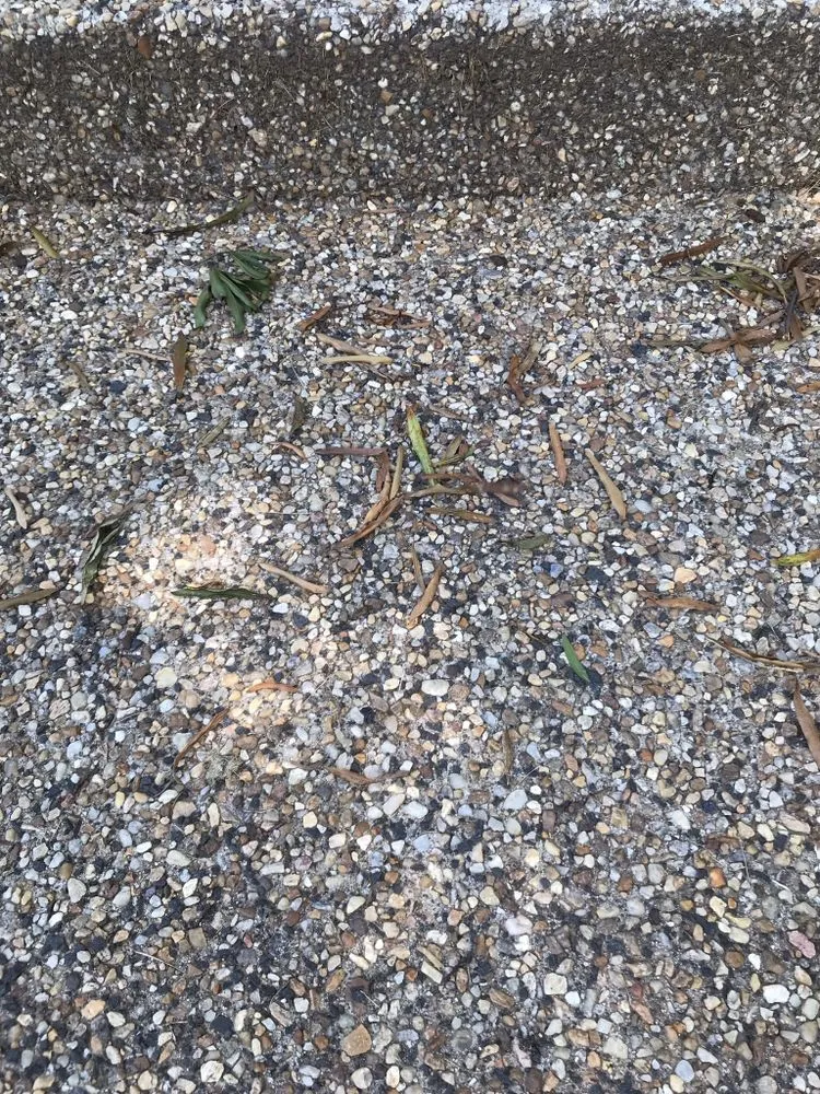 Expert outdoor landscaping in Spencerville, MD - Turf Center Lawns