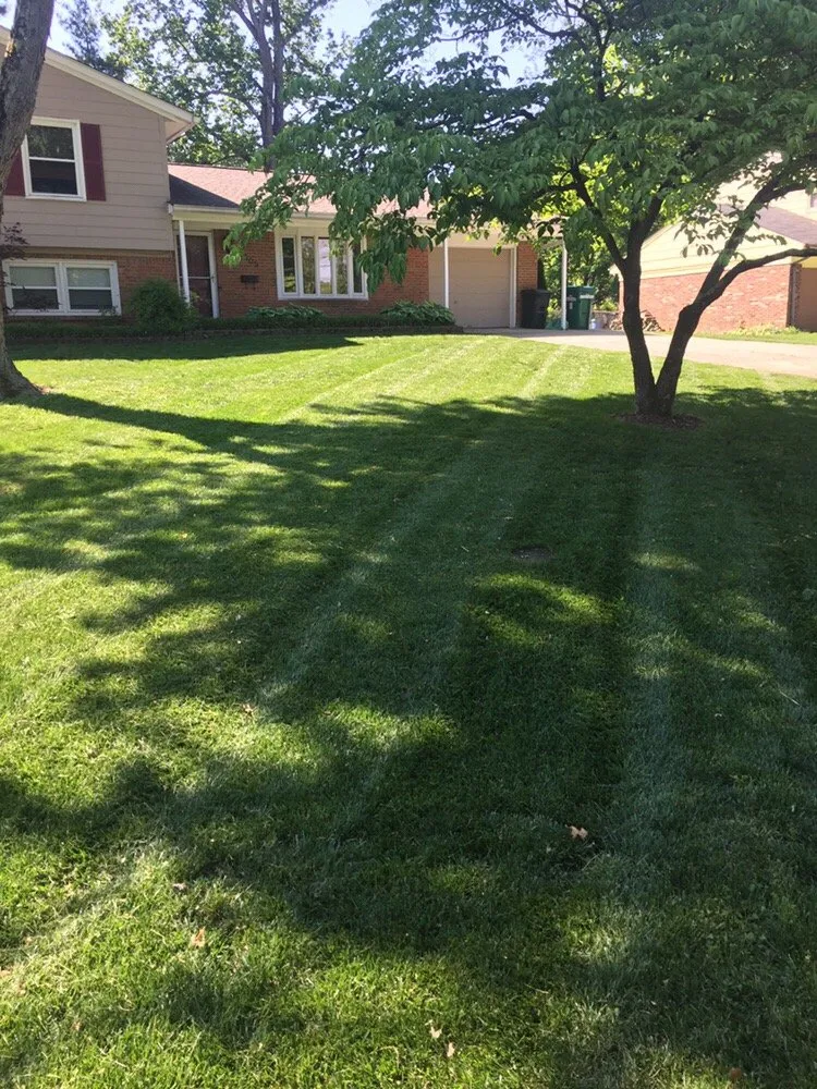 Local landscape installation for residential properties in Louisville, KY by Turf Club Lawn & Landscape