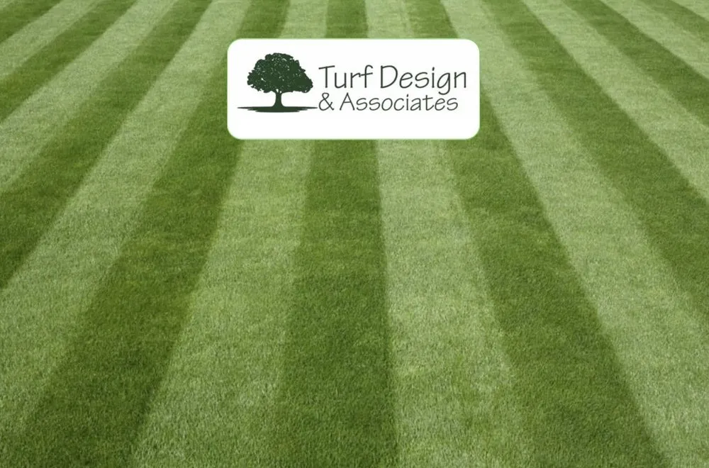 Trusted garden landscaping in Haverhill, FL - Turf Design & Associates