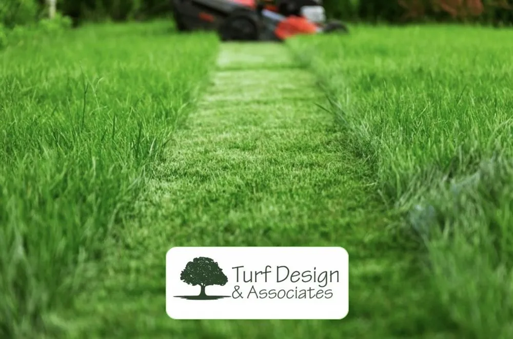 Custom lawn care service in Haverhill, FL - Turf Design & Associates