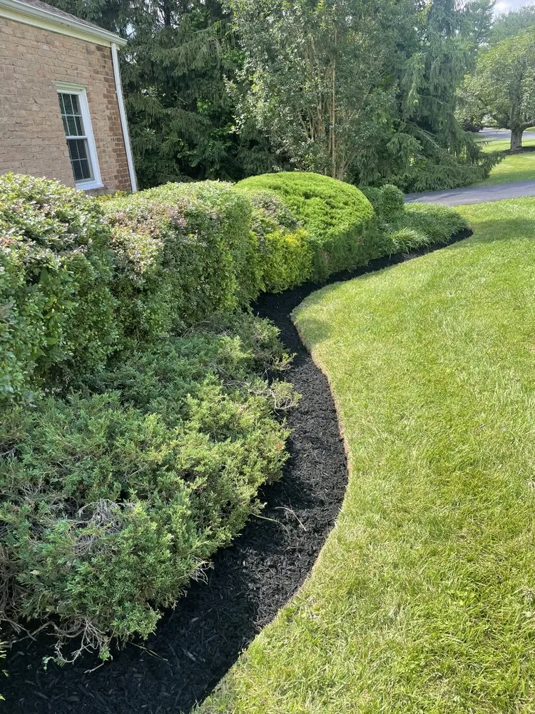 Affordable yard maintenance in Randallstown, MD by Turf Doc Landscaping