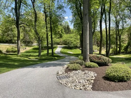 Turf Doc Landscaping