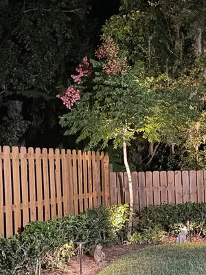 Turf Doctor Landscaping & Lawn Logo