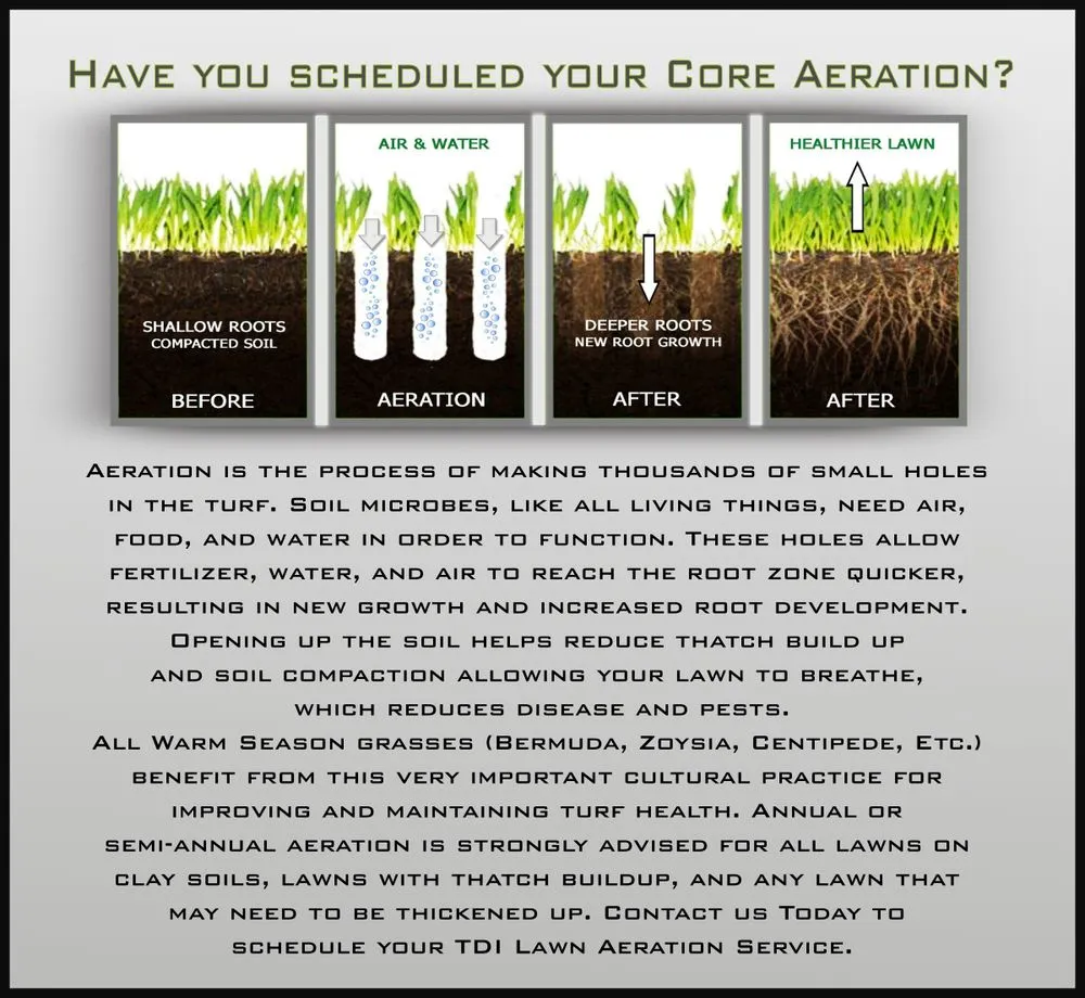 Professional landscape installation for beautiful yards across Bessemer, AL - Turf Doctor Of Birmingham