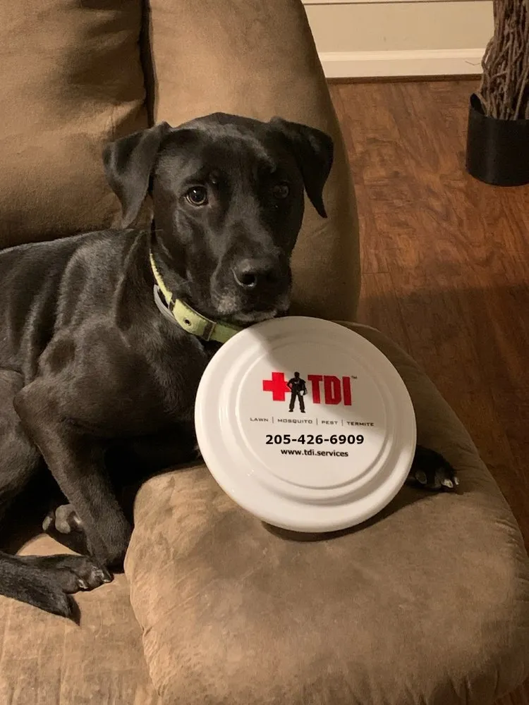 Expert residential landscaping for homes across Bessemer, AL - Turf Doctor Of Birmingham