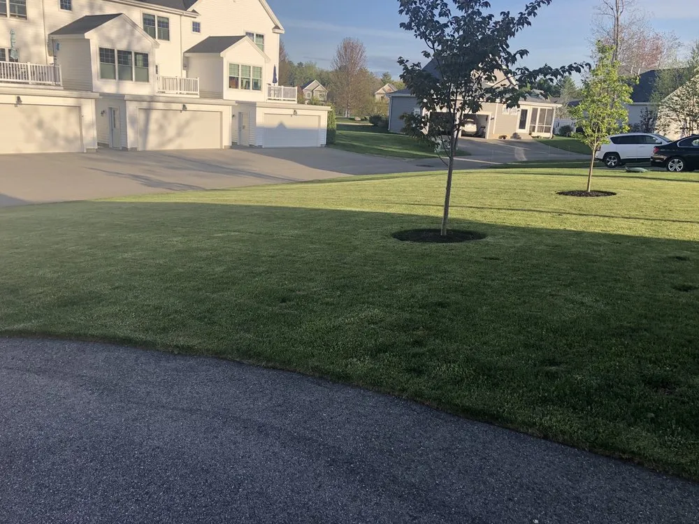 Trusted lawn care service experts serving Portland, ME - Turf Doctor