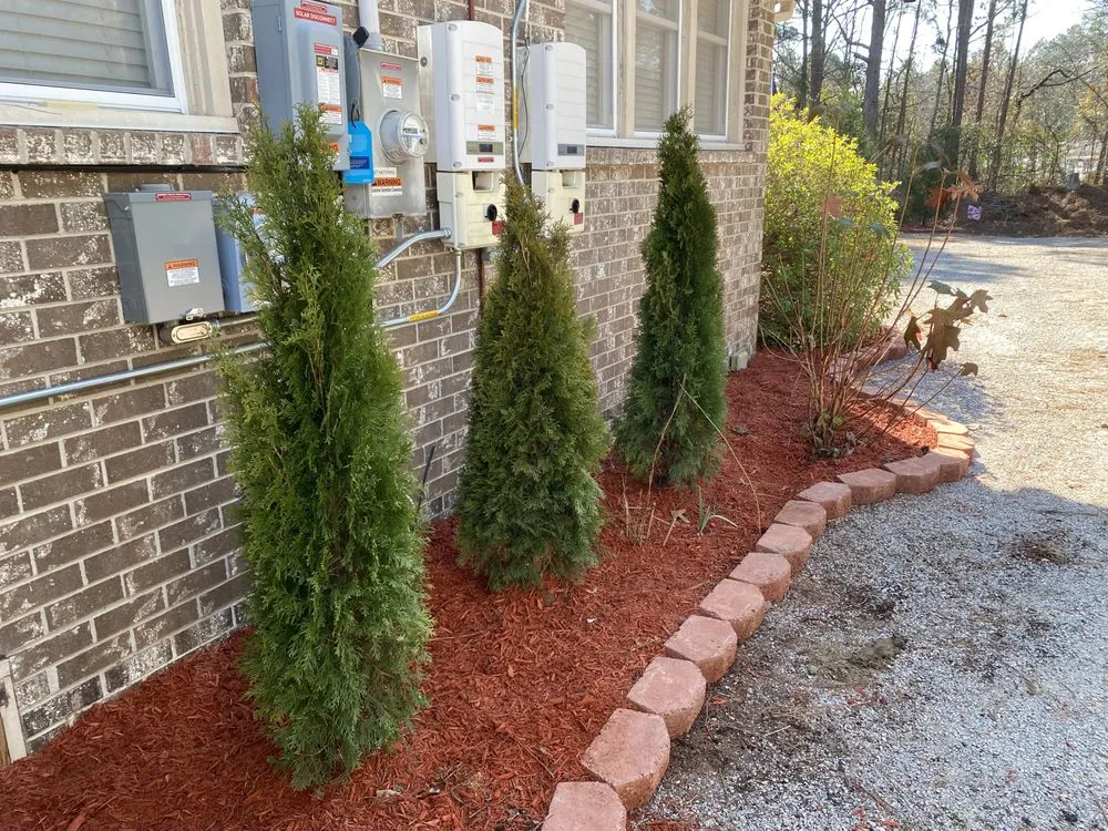 Professional lawn mowing service with custom design in Columbia, SC by Turf Dogs Landscaping