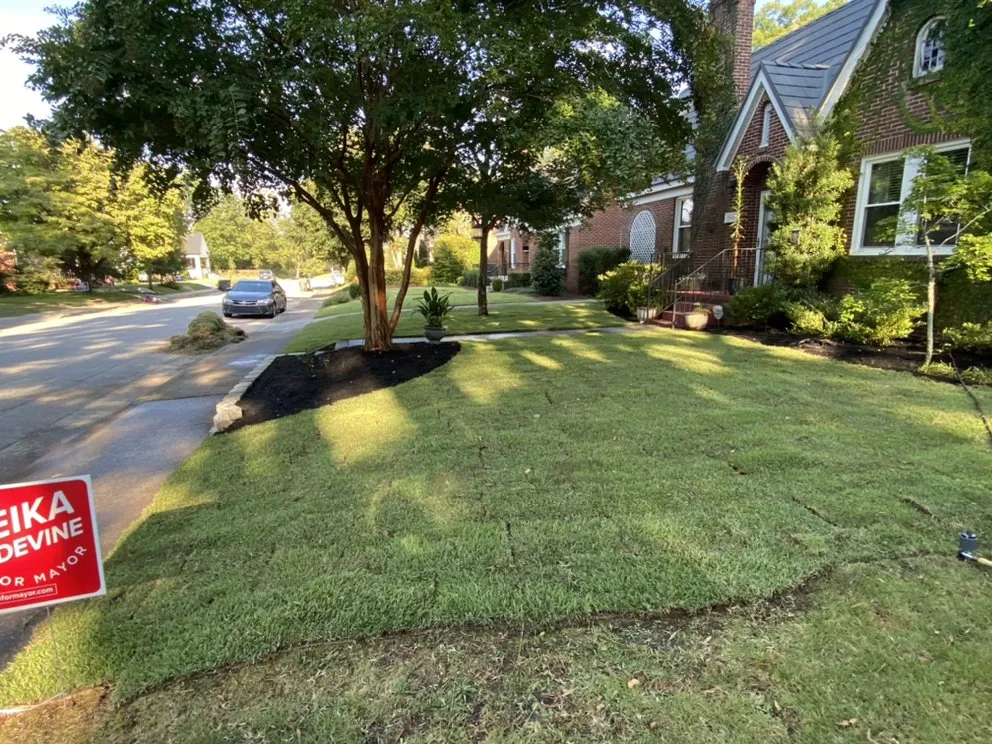 Reliable lawn care service for outdoor upgrades in Columbia, SC by Turf Dogs Landscaping